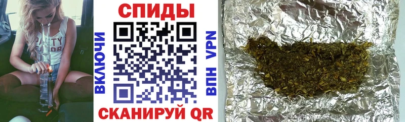 Купить где Камызяк Бутират BDO 33%